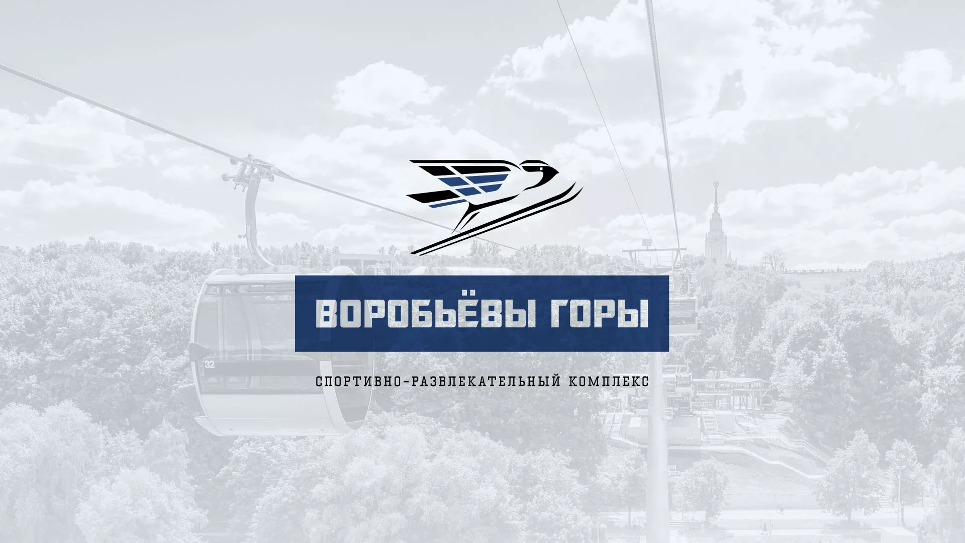 Разработка сайта в Володарске для спортивно-развлекательного комплекса «Воробьёвы горы»